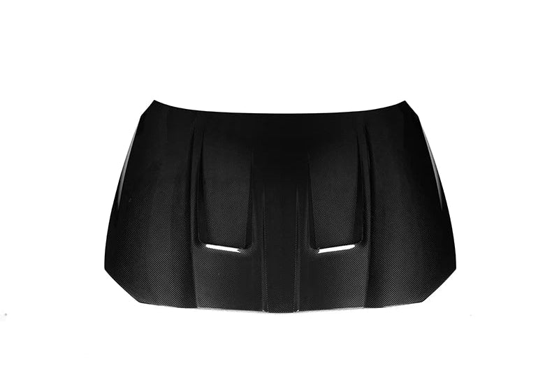 G8X Alpha N Style Hood DRY CARBON